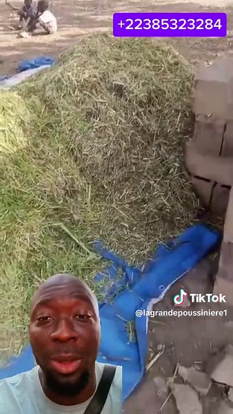 Vidéos de LA GRANDE POUSSINIÈRE 2 (@lagrandepoussiniere1) avec son original - LA GRANDE POUSSINIÈRE 2