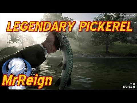 Red Dead Redemption 2 - Hunting The Legendary Chain Pickerel - Legendary Fish Location & Tactics