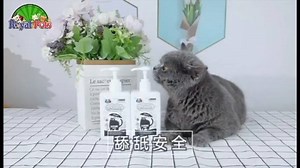 New Cat Grooming Products #Royalpets #catgroomingproducts #catfoods #onlineshoping #cataccessories Availble in-store & Online : royalpets.pk | Royal pets