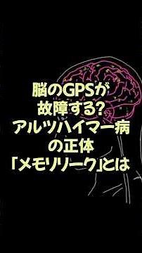 脳のGPSが故障する！？アルツハイマー病の正体「メモリリーク」とは【神経研究 脳研究 最新 テクノロジー】