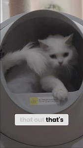 How Much Time Does a Robotic Self-Cleaning Litter Box Save?