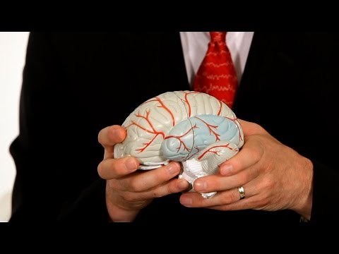 What's Temporal Lobe Epilepsy? | Epilepsy