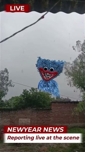 babifreitas#laughchallenge