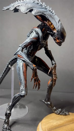 The basicmorph #customfigure #xenomorph #alien#neca#figure#horror#figurecollection