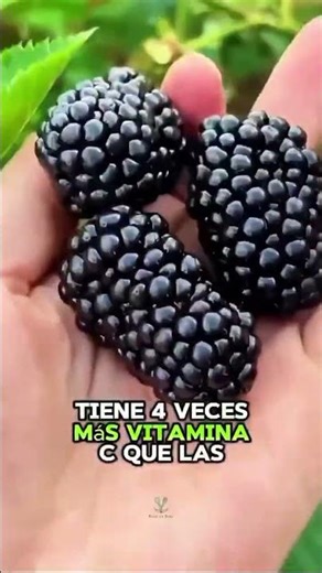Cinco mejores frutas