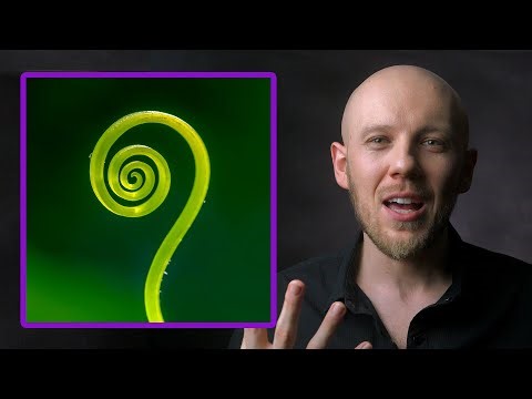 Survival & Spiral Dynamics - How Each Stage Survives