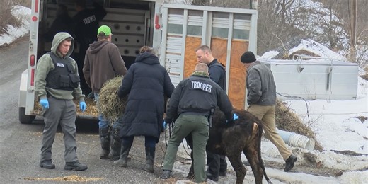 NYSP increases animal cruelty investigations, special training & new partnerships