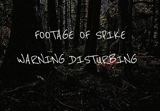 Creepy MLP Infection Spike AU - Equine Fever Horror Story