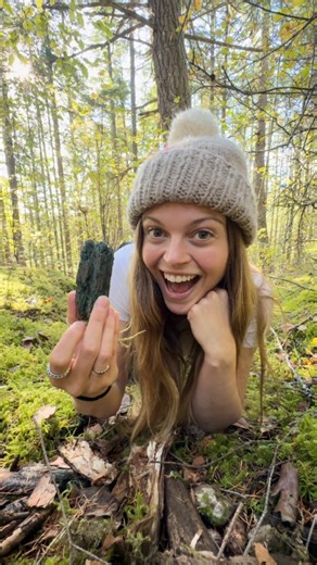 26K views · 15K reactions | Have you seen BLUE WOOD before?!! This natural blue-green pigment, called Xylinden, is created only by Chlorociboria fungi. It’s commonly called blue green elf cup, green stain, blue stain, greenwood cup, etc. #fungi #fungus #nature #outdoors #naturalist | The Nature Educator | Facebook