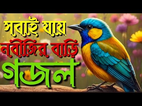 সবাই যায় নবীজিৰ বাডি আমাৰ য়াওৱা হইলোনা গজল //Sobai jai nobijir bari amar jawa hoilona gojol..