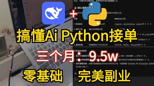 寒假在家用Ai 搞懂Python接单，三个月9.5w，零基础也能学的完美副业，分享我使用的工具安装包 学习资源！！