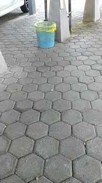 Paving Block Condition after 3 years of use!!!