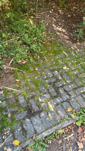 18K views · 226 reactions | Another rare car find, this one is...