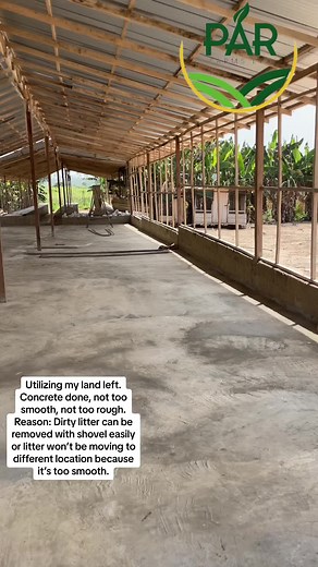 Constructing a Chicken Coop: A Guide to Building a Spacious and Functional Poultry House