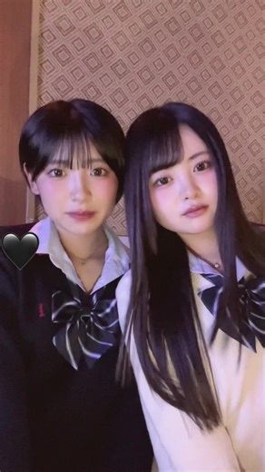 年子姉妹の高校生活と受験勉強の挑戦