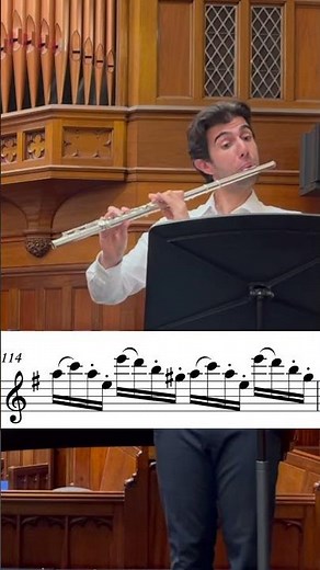 MOZART, Flute Concerto in G major - I. Allegro Maestoso (part 3) #classicalmusic #flute #concerto