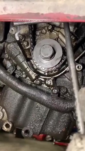 365 OTOMOTİV TikTok'ta