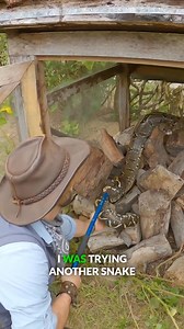 Sometimes snake rescues can get a little scary… #snakes #trainedprofessional #reptiles #coyotepeterson | Coyote Peterson