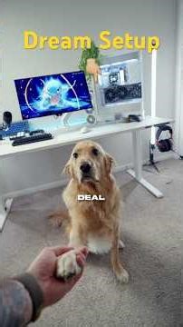 Throw away the IKEA desk, this is the new gaming setup meta 🔥 #gamingsetup #pcgaming #secretlab