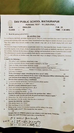 DAV public School class 6 question paper of English PT 4 examination
