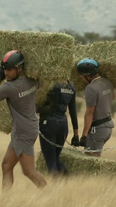 102K views · 929 reactions | Who’s built for the bales?  #TheChallenge41 returns with a new episode TOMORROW at 8p on MTV! | The Challenge | Facebook