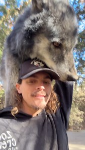 Big ole boy. Always with the slapping me. #bigboy #theslap #cameraangles | James Smith