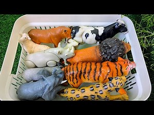 Farm and Zoo Animals for Kids | Learn Animal Names in English with Sounds