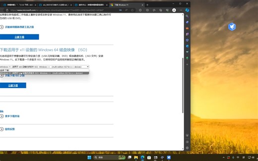 Windows 11跳过TPM 2.0教程