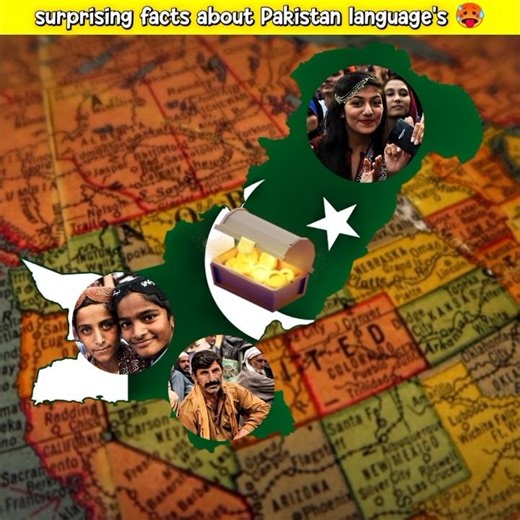 5 Surprising Facts About Pakistan’s Languages 😱#shorts#factsinurdu#language