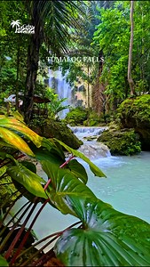 5 Must-Visit Places in Cebu Experience the island’s beauty, adventure, and culture: Temple of Leah Moalboal – Panagsama Beach Kawasan Falls Oslob Whale Sharks Tumalog Falls #CebuTravel #ExploreCebu #PhilippinesTravel #AdventureAwaits #TravelPH #CebuIslandGuideph | Cebu Island Guide