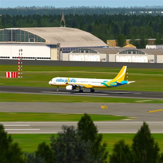 4.6K views · 82 reactions | Cebu Pacific Airlines Takeoff – Rate This Takeoff 1 to 10! | Flight Simulator #CebuPacific #FlightSimulator #AviationLovers #PlaneSpotting #TakeoffPower | PJ Daddy | Facebook