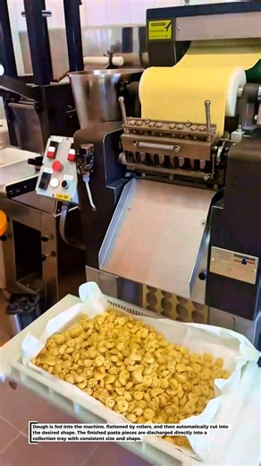 Automatic Mini Pasta Making Machine – Fast & Precise