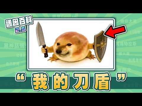 最多音效的一集⚡️⚡️⚡️！“我的刀盾”是什麽迷因?【迷因百科】#我的刀盾 #比比拉布 #歪比巴卜 #貓meme #英雄聯盟 #Fate #PVZ #抽象 #音效梗 #魔性 #meme #迷因 #梗