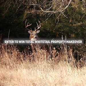 Transform your property into a big buck paradise. Includes a custom property management plan and over $10k in gear. | HuntStand