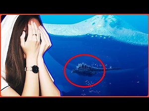 React GODZILLA Earth VS EL Gran MAJA !! GEDE 🦍😱