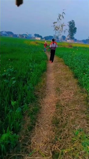 Village Child And Village Man Works 💪 Hard And Growing Cropes #music #song #root #Farmer #blogger