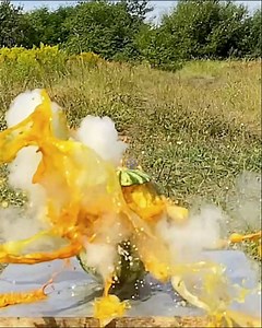 810K views · 668 reactions | These are some of the most unique and fascinating science experiments we've ever seen! 良離勞 | LADbible | Facebook