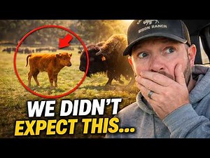 Went to Surprise Our Family…Then We Found More Than One