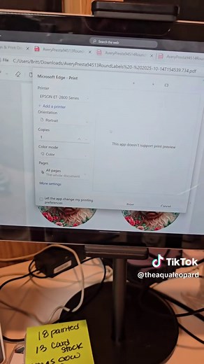 Epson EcoTank Printer Settings for Freshie Cardstock