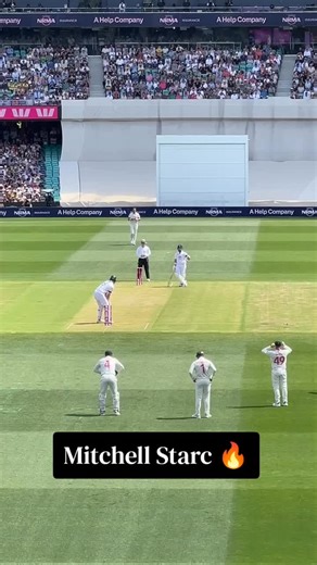 Mitchell Starc's Fast Bowling Action Revealed!