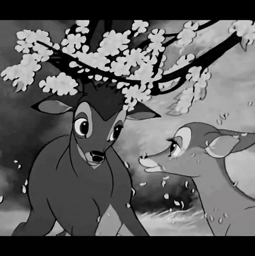 Love in Disney Cartoons: Animated Couples and Romance