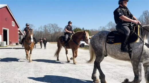 Cobb County Sheriff’s Office Mounted Patrol Unit expands