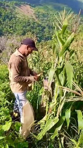 Explorando el Retoñodel Guárico en Venezuela