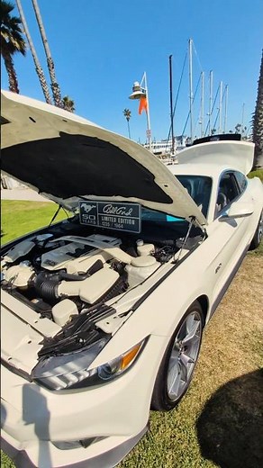 Rare 50th Anniversary Limited edition Mustang