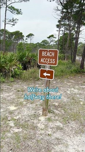 Take a walk through Topsail Hill Preserve State Park🥾🌳✨