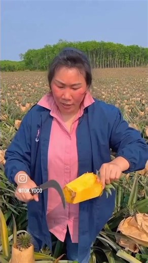 China Making For Suger #shorts