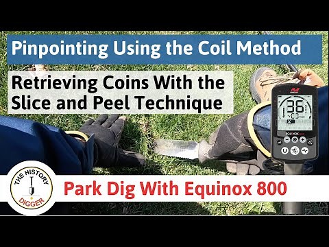 Metal Detecting: Pinpointing and Digging Techniques