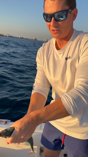 37K views · 1.5K reactions | How to catch the fastest bait fish in the ocean! #fishing #bait | Landshark Outdoors | Facebook