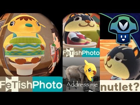 Vinny - Animal Crossing: New Horizons 3.0 Update + Happy Home Paradise