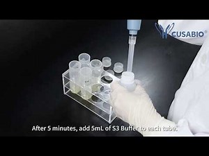 Using the CUSABIO Plasmid Maxiprep Kit: A Step-by-Step Guide